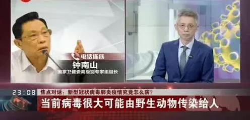 近年来濒危的野生动物有哪些,濒临灭绝的珍稀野生动物