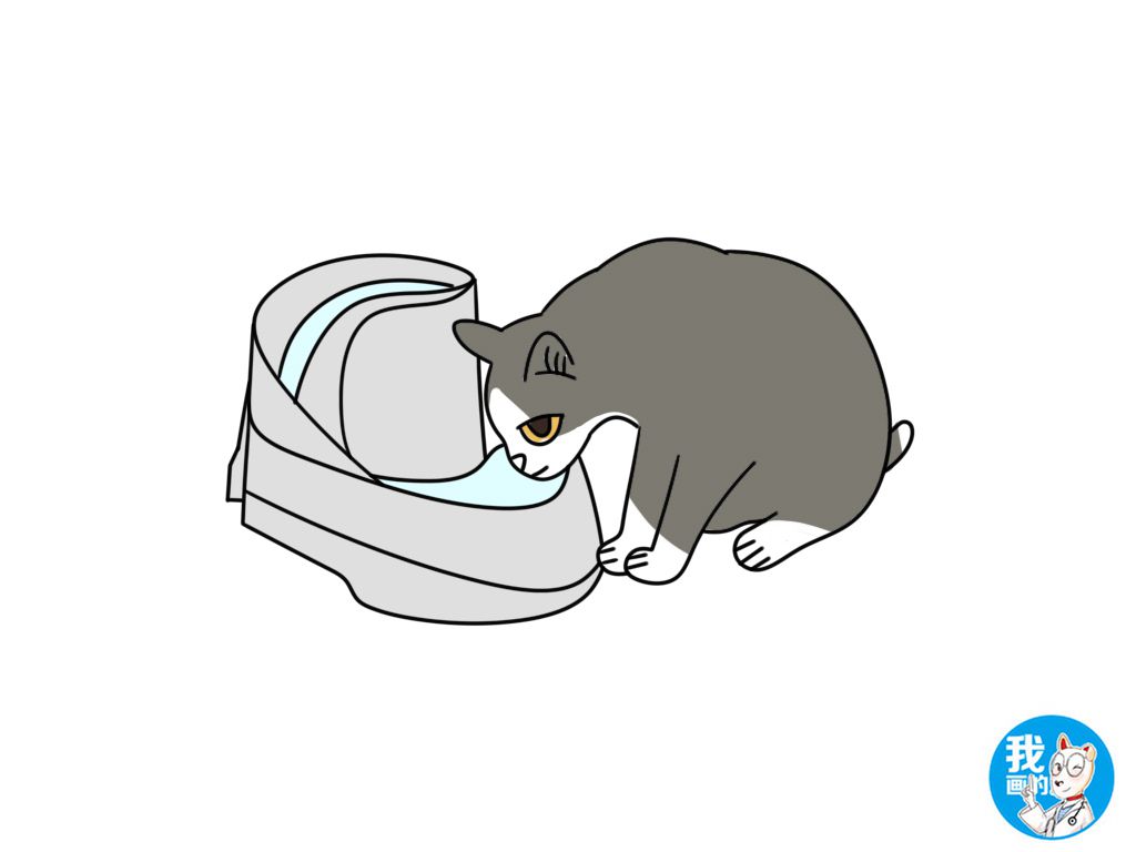 猫咪中暑的表现有哪些,室温30度猫咪会中暑吗