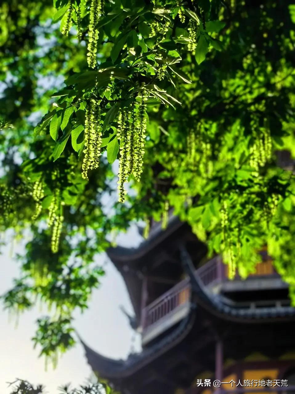 江苏这个“快乐”的城市，颜值不输苏杭，连苏东坡都在这养老