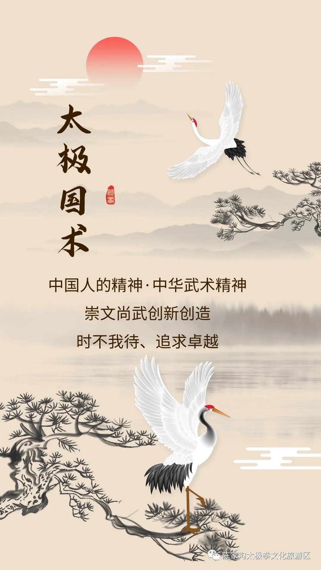 陈家沟武术表演,传统武术陈家沟