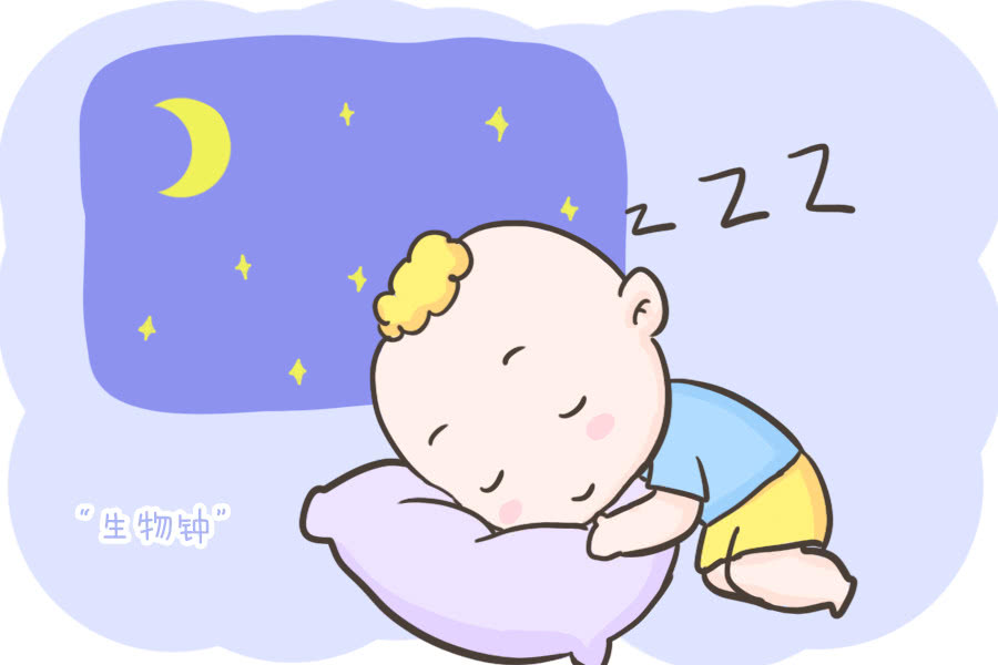 宝宝分月龄成长指南,婴儿宝宝养育攻略