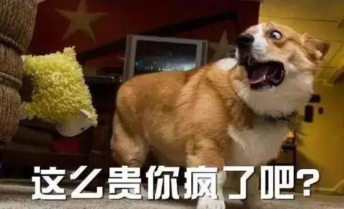 牙花了怎么护理,种完牙怎么养护