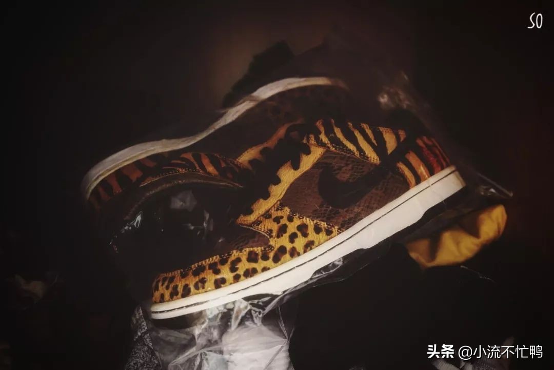 dunk明年还会火么,dunk2022款和老款有什么区别