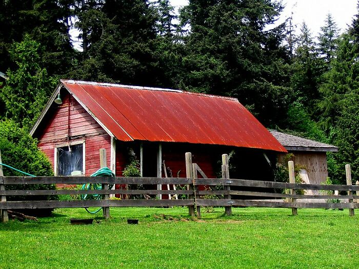 歪果网友分享自己暂时逃避现实的方法，压力大时可以试试了