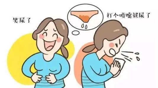 盆底肌松弛的原因和危害动画,盆底肌松弛对两性的危害