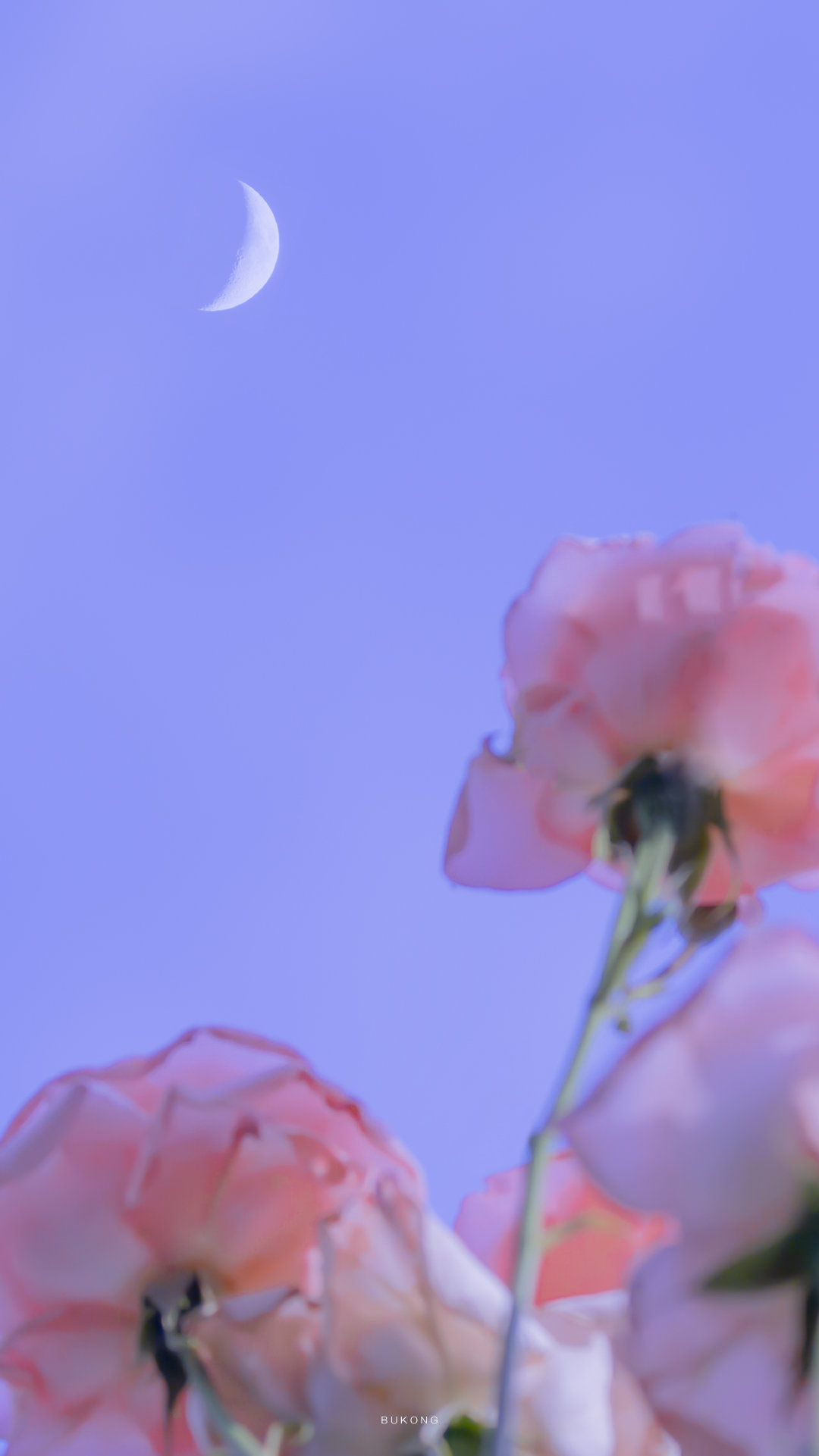 学生买aj又没钱怎么办,大学生花一千多买鞋正常吗