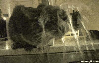 不管什么面膜是不是用了都起作用,这才是真正有效的面膜