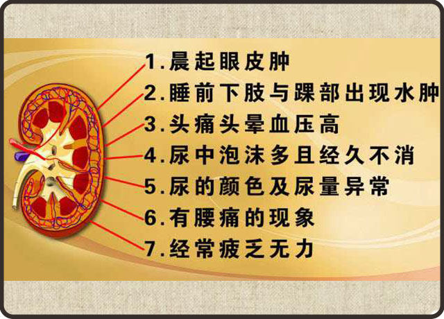 肾虚肾病的症状和治疗方法,肾虚并非肾病女性更应护肾