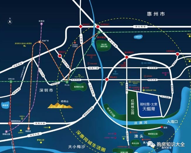 惠州碧桂园太东公园上城,碧桂园太东天樾湾红树林大城