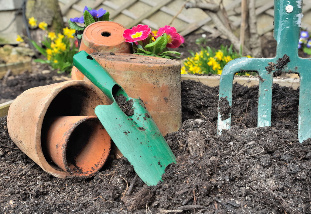 什么东西养花又便宜又好养,养花很烧钱入坑需谨慎