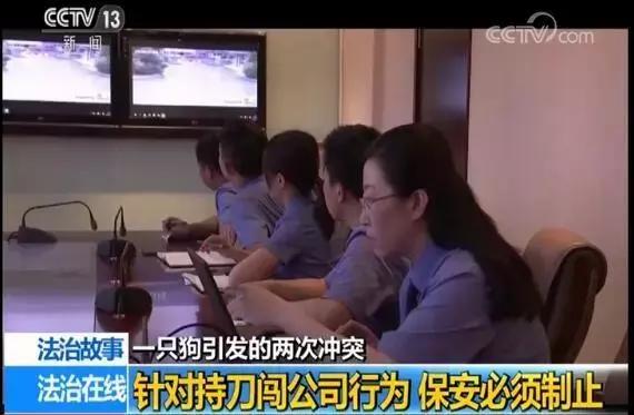 央视法制栏目真相,故意伤害案全过程庭审直播回放