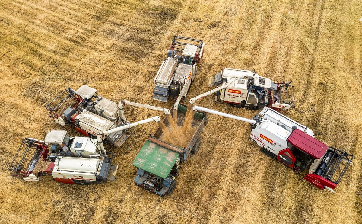 农机证收割机证能在网上办理吗,农机手未持证作业被罚