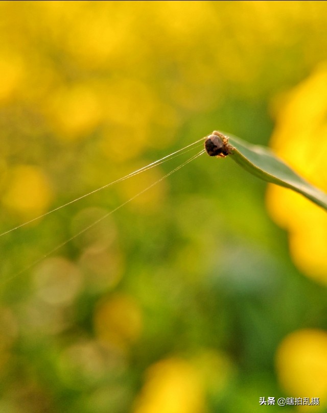 我的摄影器材大集合,最新入门单反相机推荐