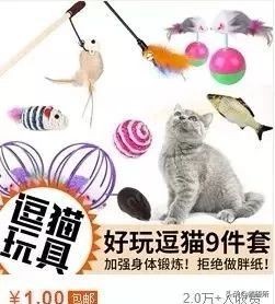 猫咪平替好物推荐,提高猫咪生活质量的几款好物