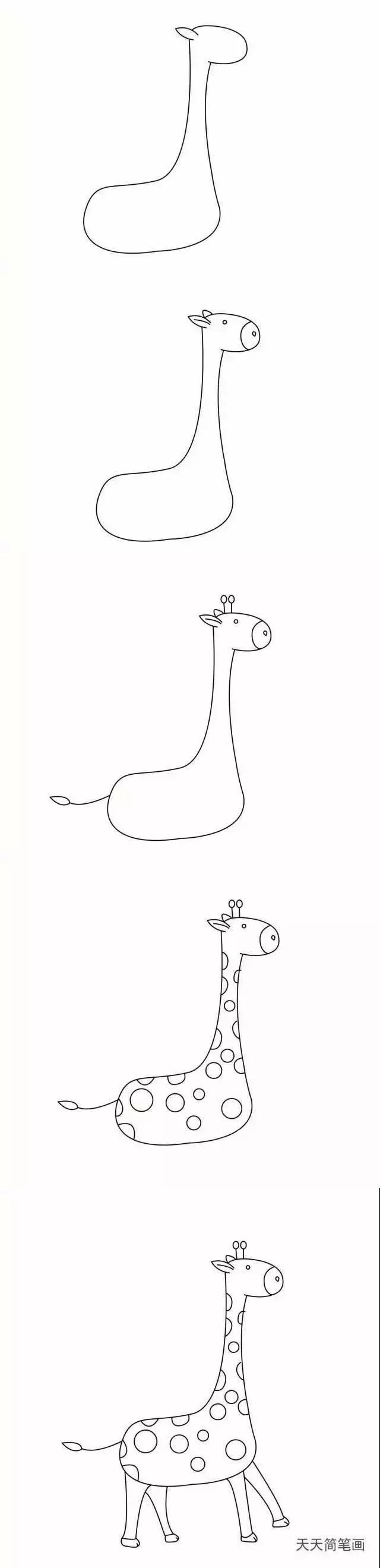 儿童简笔画入门动物4-6岁男孩,10000种超萌动物简笔画大全