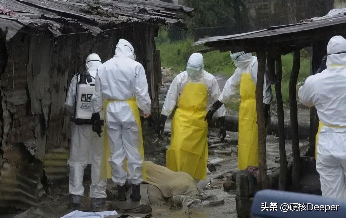 中国海关截获美国神秘包裹,美国包裹发现黑蝇