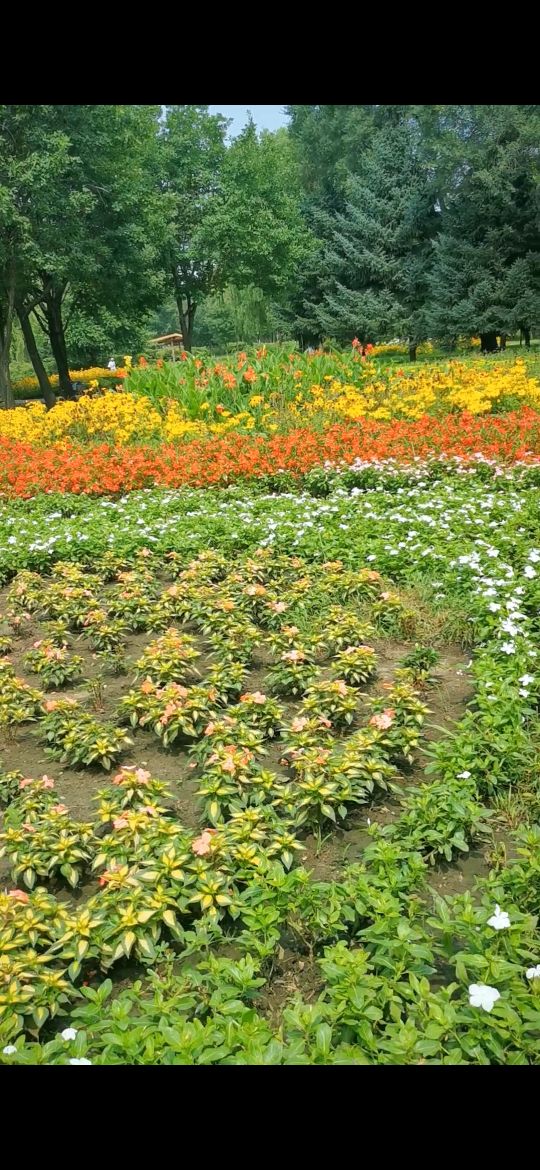 从哈尔滨松北大道右转太阳大道，豁然开朗