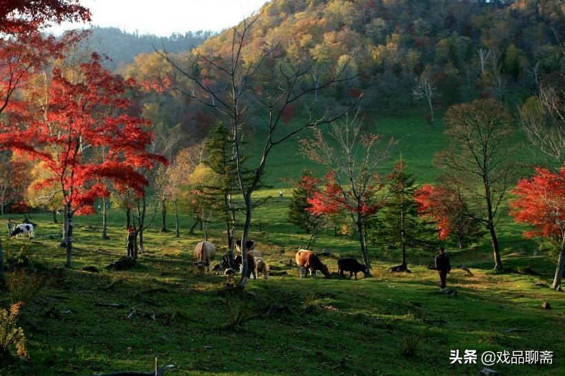涓存睙缇庢櫙,涓存睙缇庢櫙灏芥敹鐪煎簳