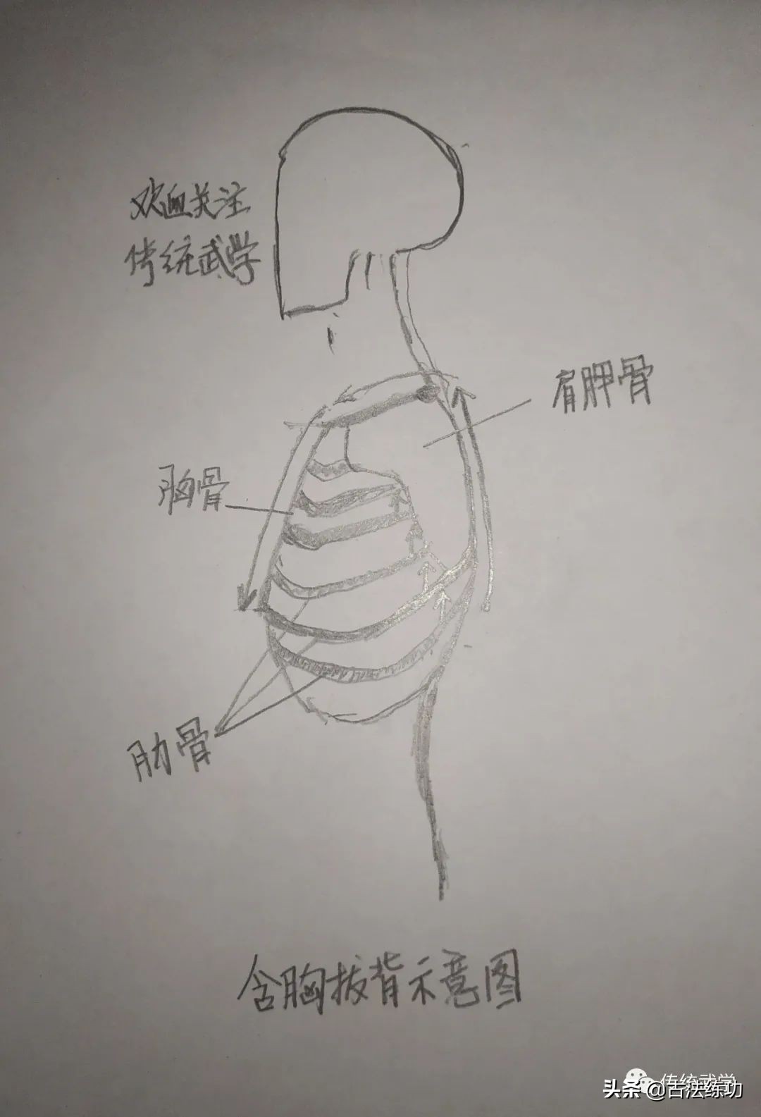屈膝松胯含胸收腹,松腰落胯什么感觉