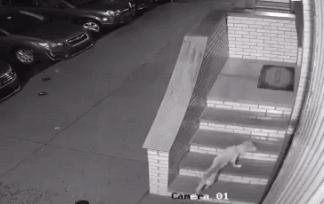 鏅氫笂瀹堕噷杩涗簡涓嶆槑鐢熺墿,鐢峰瓙鍗婂鍥炲閬囦笂涓嶆槑鐢熺墿