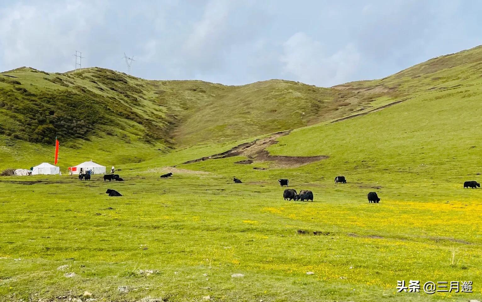 从若尔盖到九寨沟沿途哪些风景,若尔盖到尕海一路风景