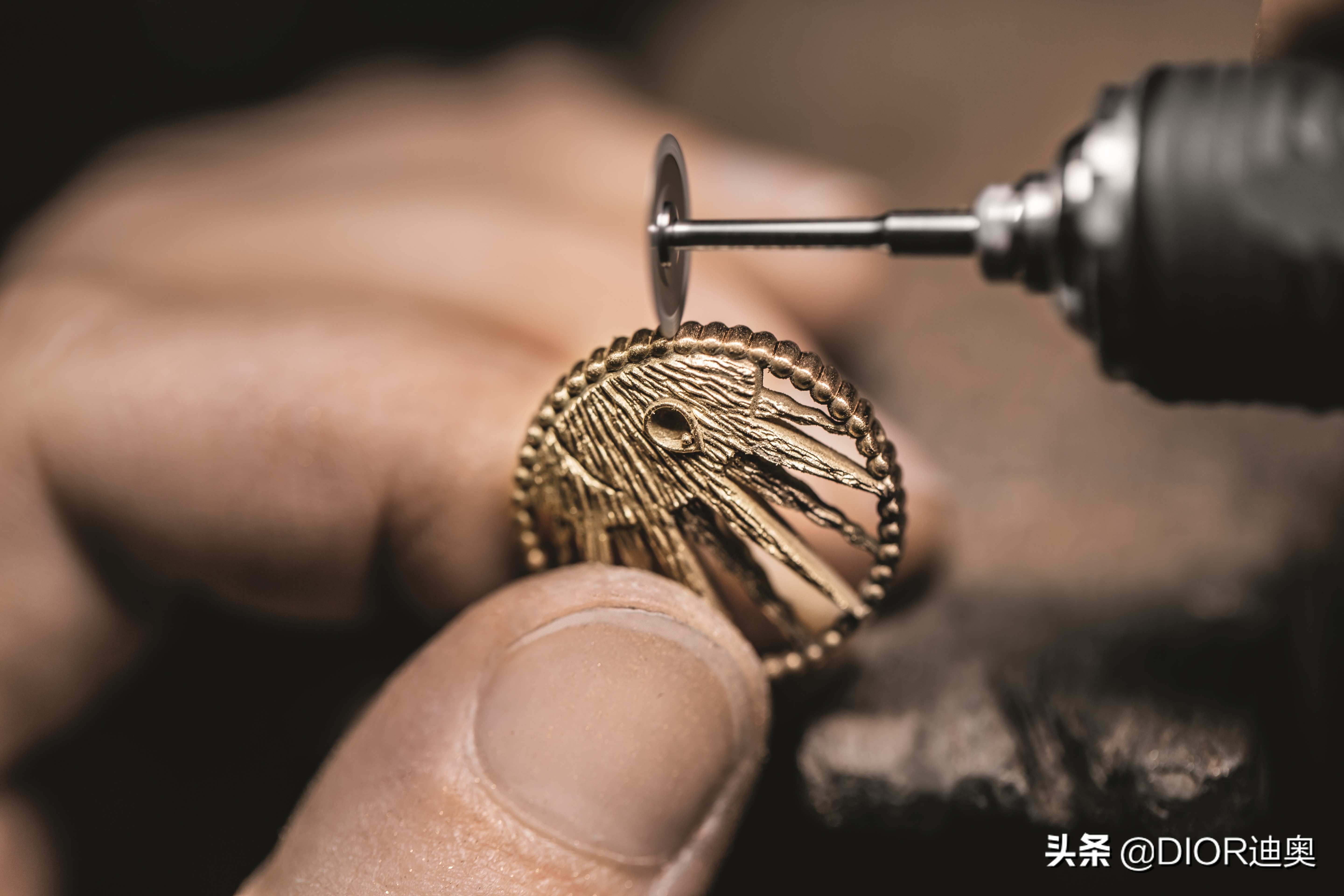 DIOR迪奥ROSEDESVENTS,罗盘玫瑰幸运篇章