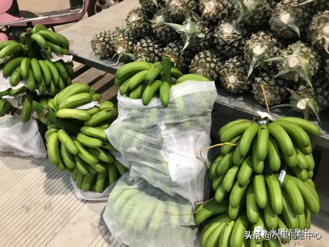 水果天堂：海南水果品种及上市时间表