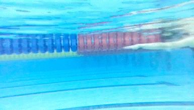 7个技巧帮助你轻松游好自由泳,想要游好自由泳必须注意哪些动作