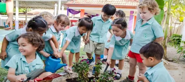 泰国芭提雅最好的学校多少钱,泰国芭提雅国际小学学费