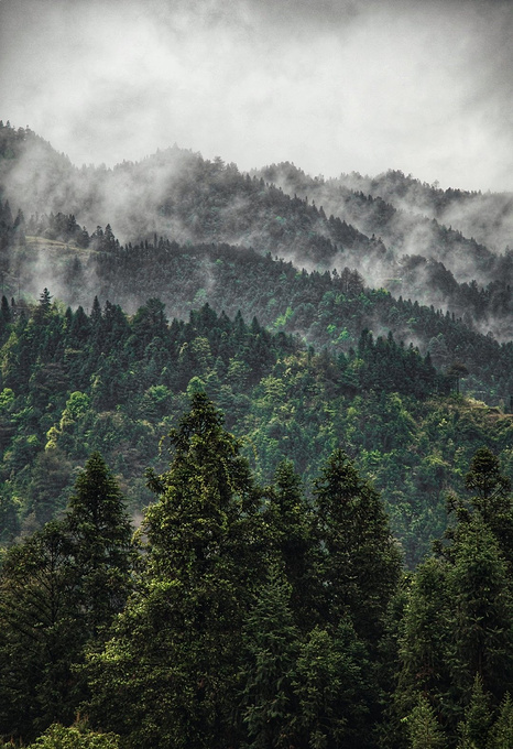 疫情对湖南这里居然丝毫没有影响！0病发，还超级适合徒步旅行！