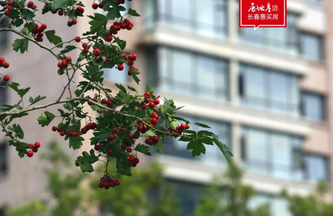 轨交次新房,楼道没有酸菜缸,这是唯一能跑赢大盘的二手房