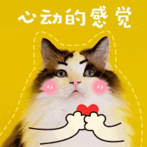 蔻驰和迪士尼联名包,蔻驰迪士尼联名包