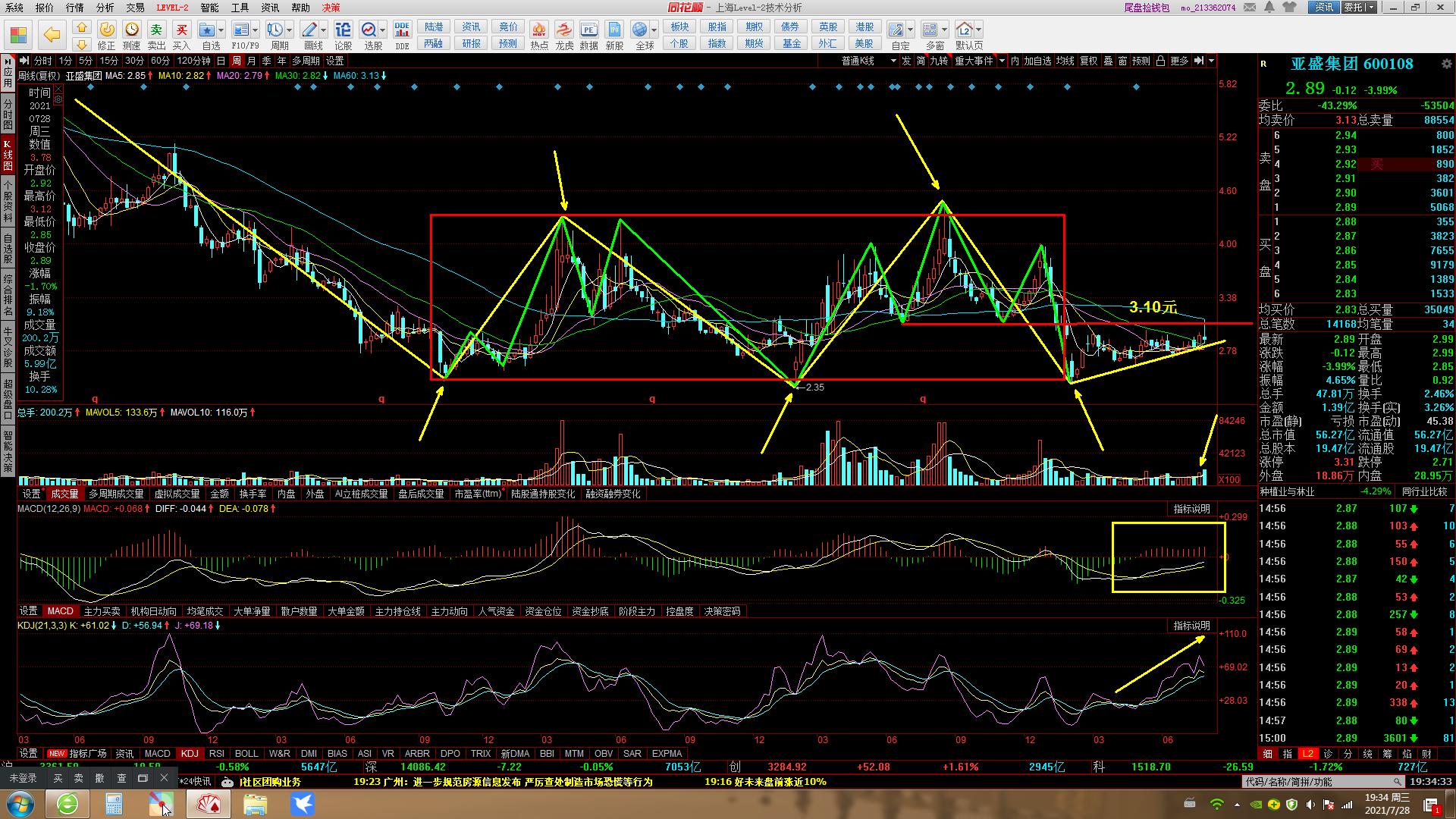 600108亚盛集团公司简介,600108亚盛集团后市如何操作