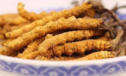 冬虫夏草保存是冷冻还是冷藏,冬虫夏草打成粉能保存多久