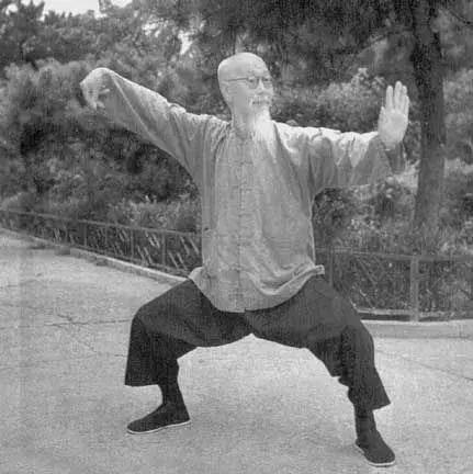 太极拳九连环,太极拳九诀