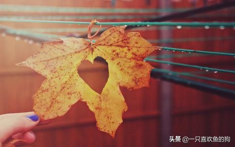 不删除不拉黑是我对你最后的承诺,不联系不删除是我对你最后的温柔