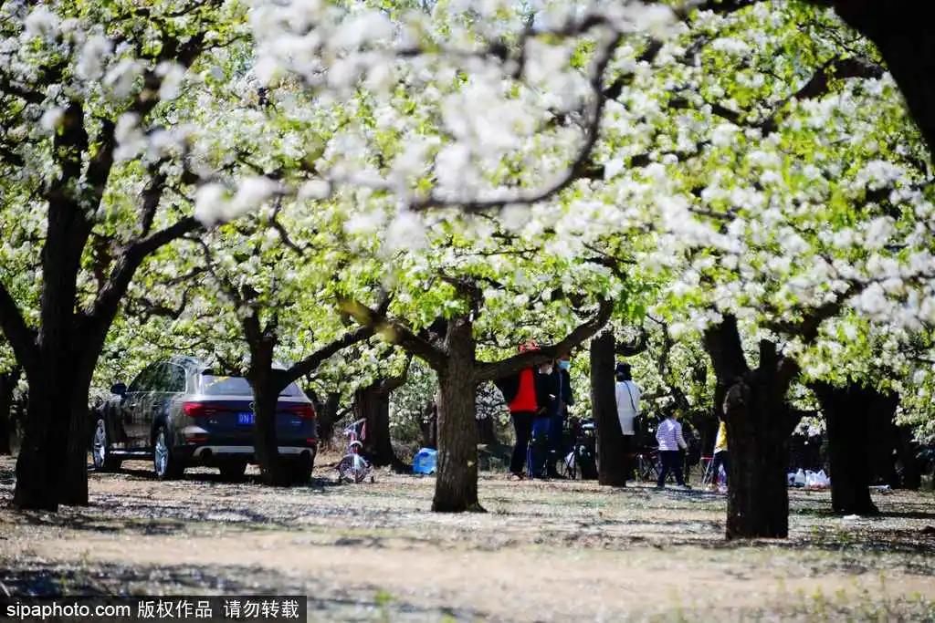 藏不住了!北京这些地方即将美出天际,你居然不知道?