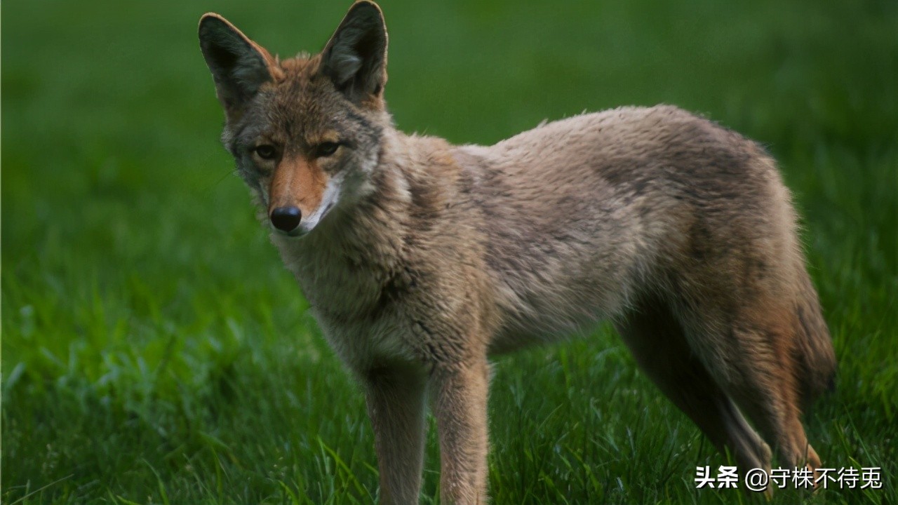 21个冷知识,23个有趣的冷知识