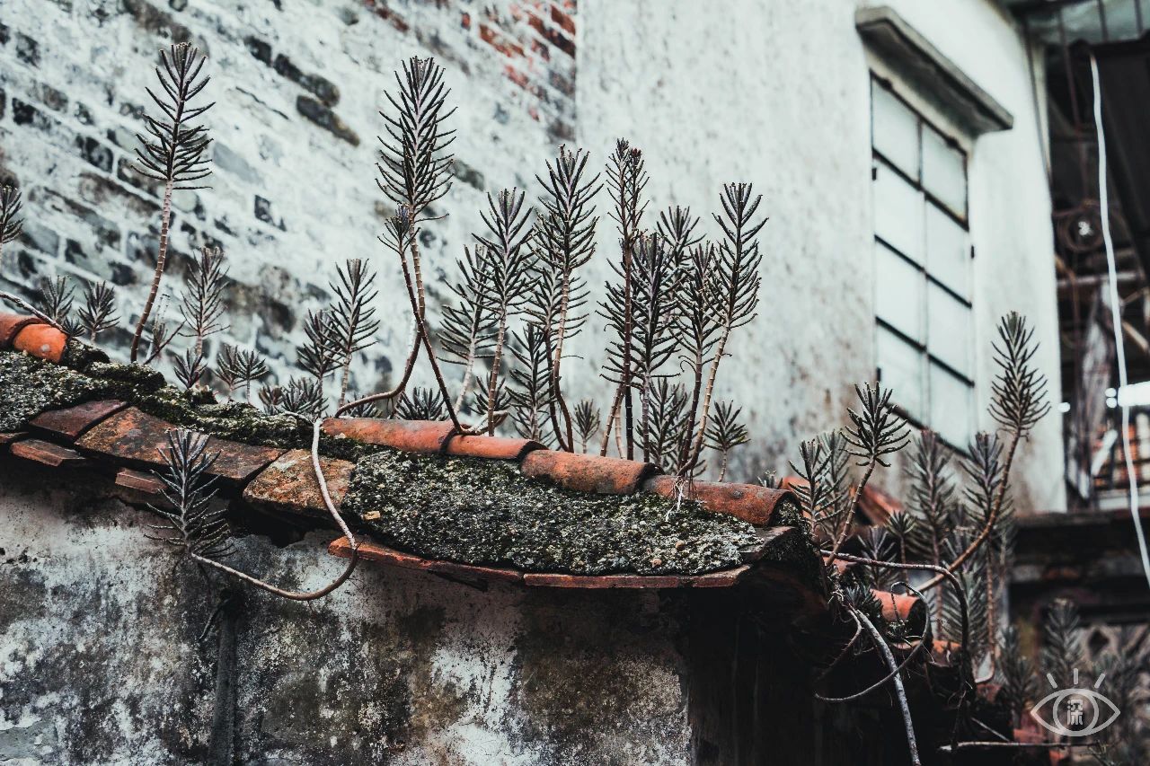 深圳值得逛的古镇,深圳有一条街全是复古的