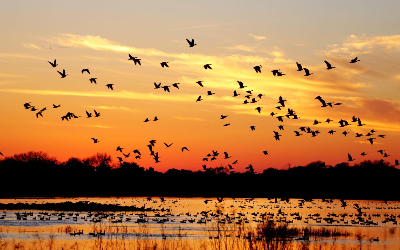 一旦发现自己所爱，就能触碰到静候在所有职业底下真正的天赋力