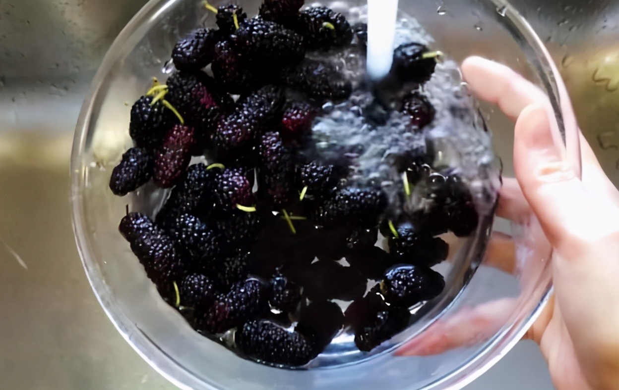洗桑葚正确方法,洗桑葚只有清水怎么洗