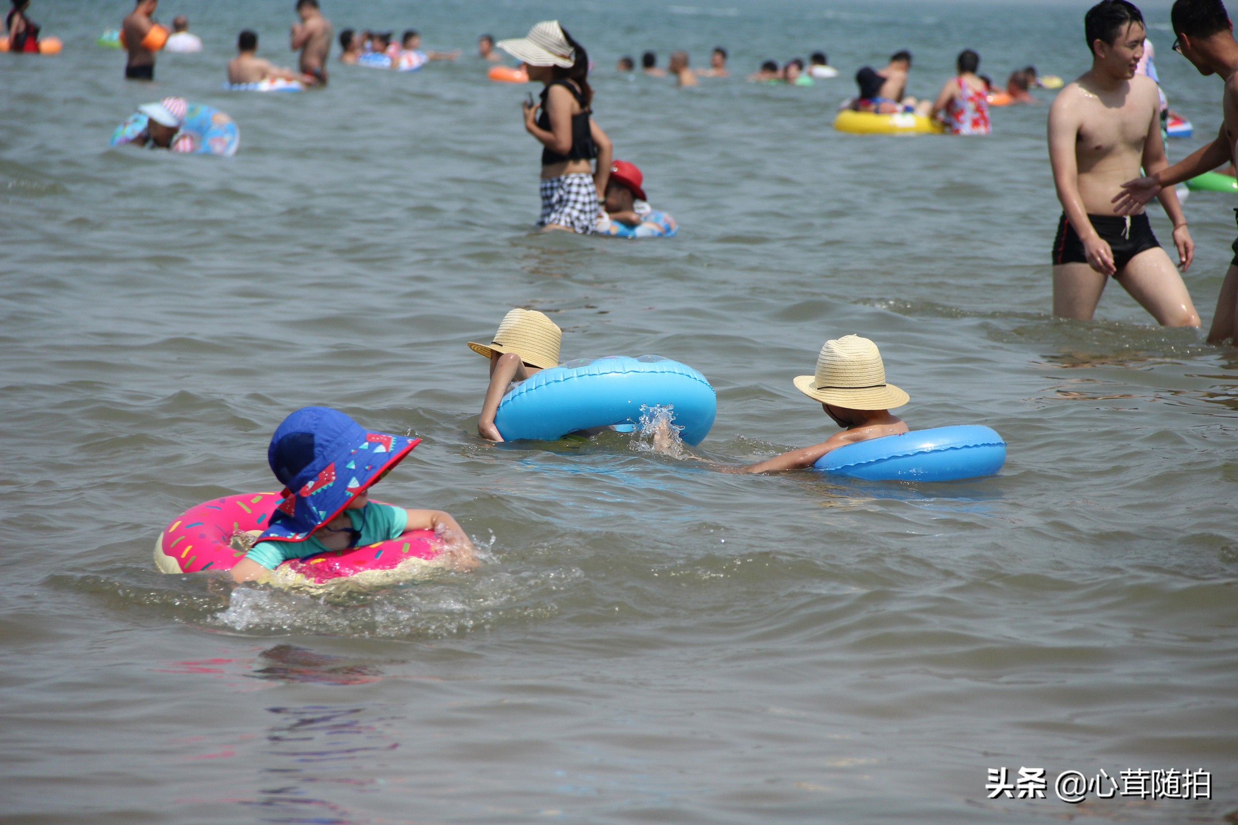 青岛市的金沙滩,金沙滩海边生活
