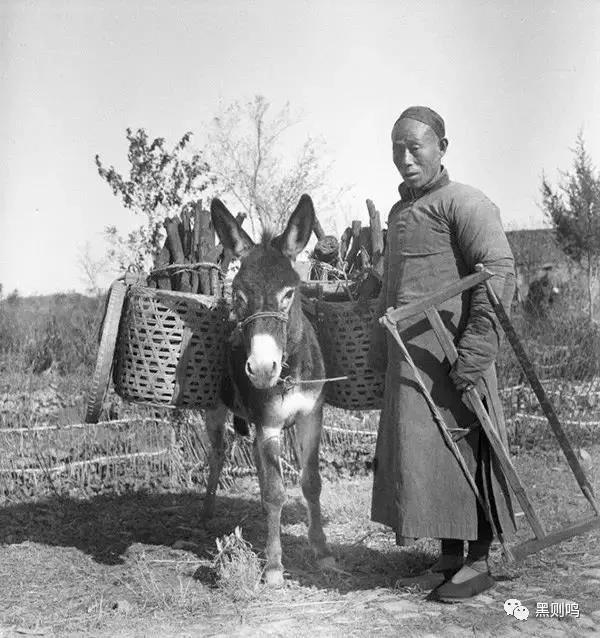 1934年的南京城,1944年南京视频