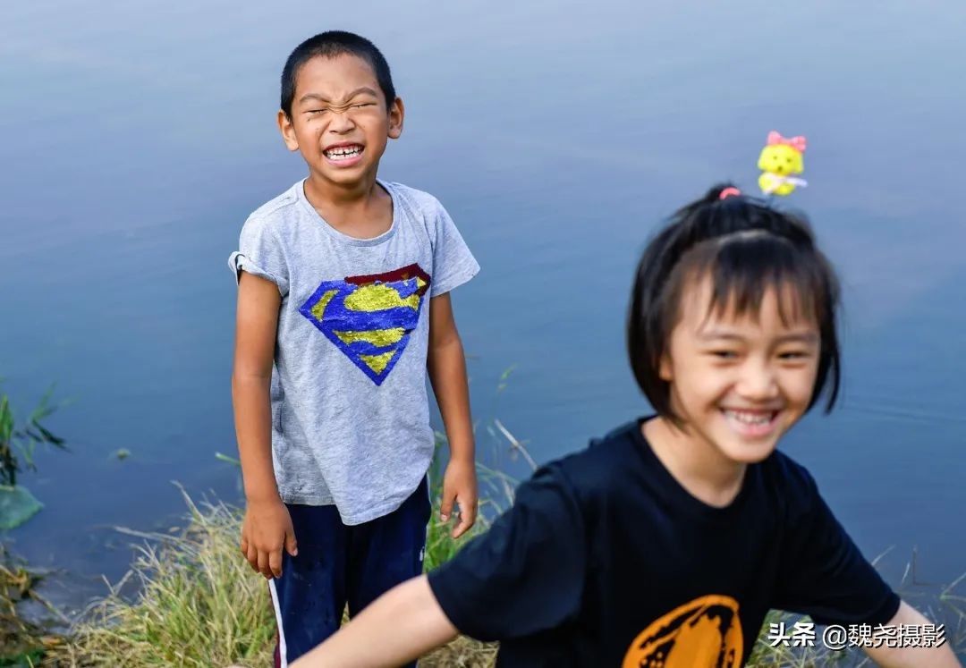 北京北坞公园里的京西稻又熟了,曾经只有皇上才能吃上这儿的大米