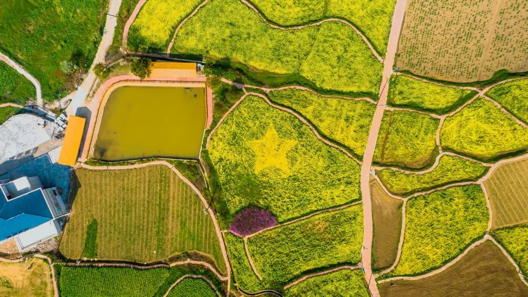 赏春图鉴丨赏花海、品清茶、尝美食...乌当百宜镇这条宝藏春游线路,就等你来打卡啦!