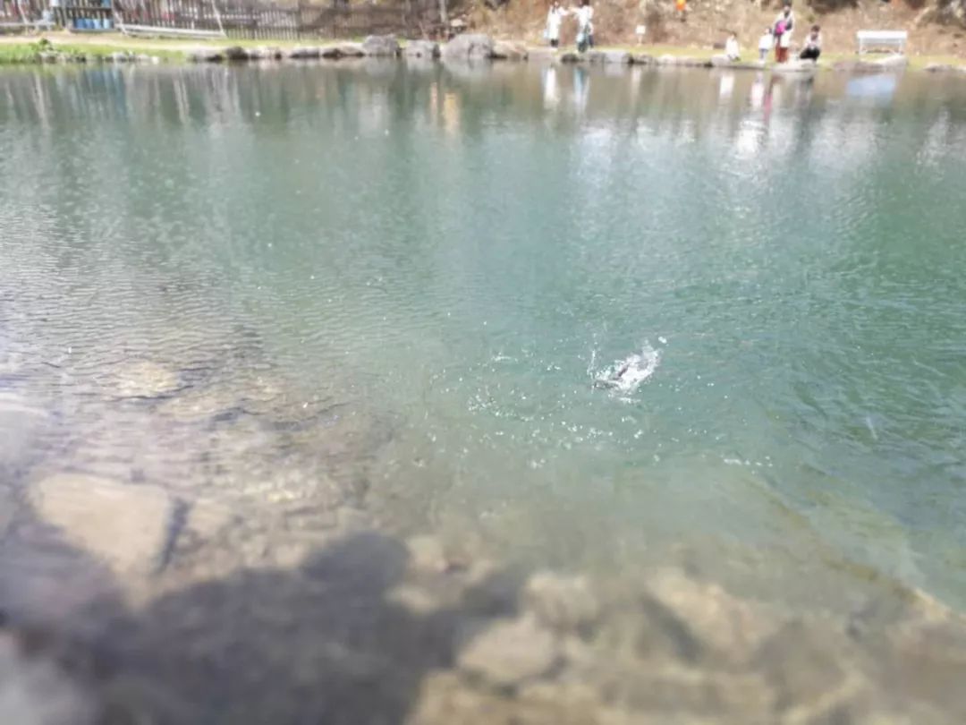 外国游客在日本钓鱼是一个什么样的体验?