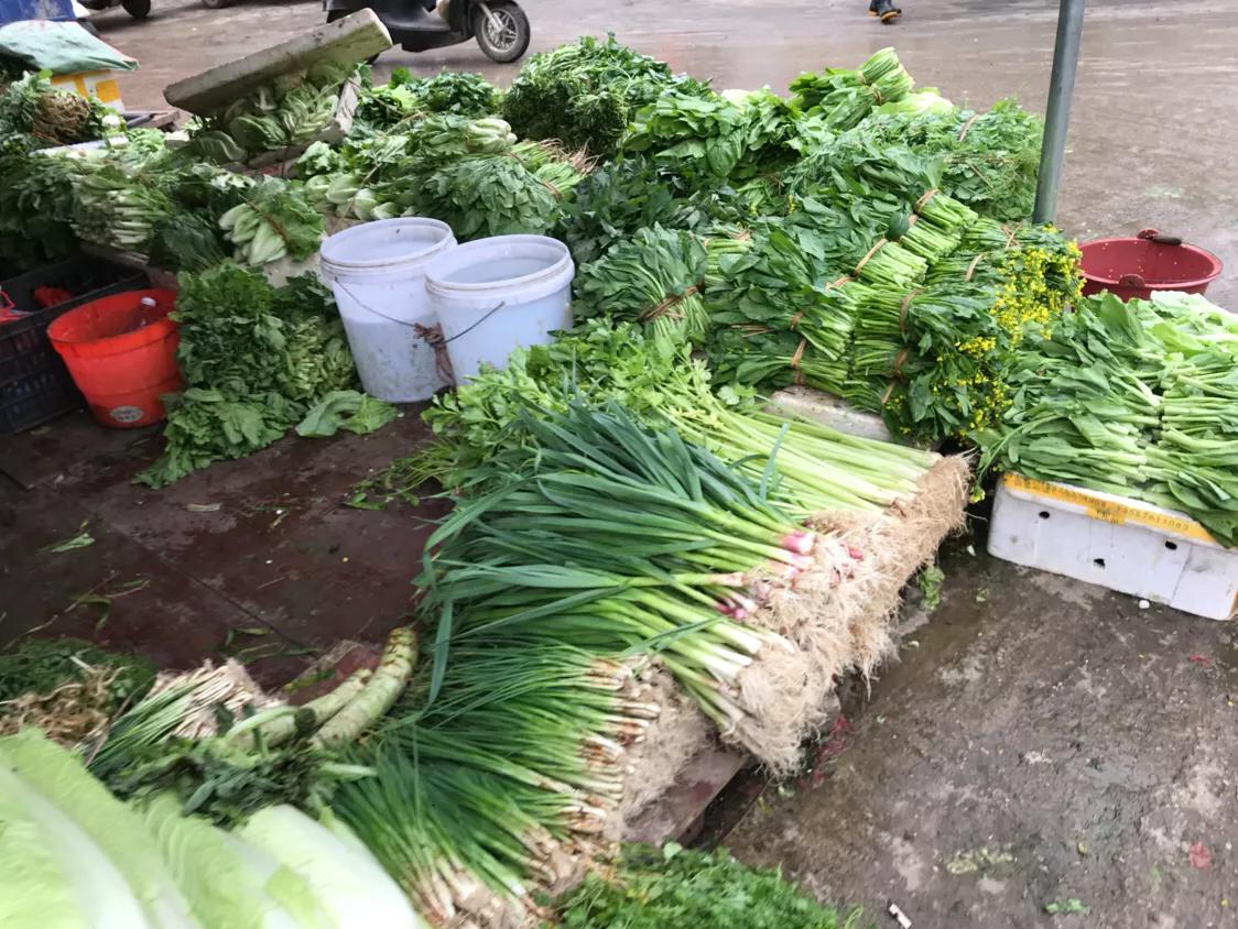 宁明县城美食推荐,宁明街拍