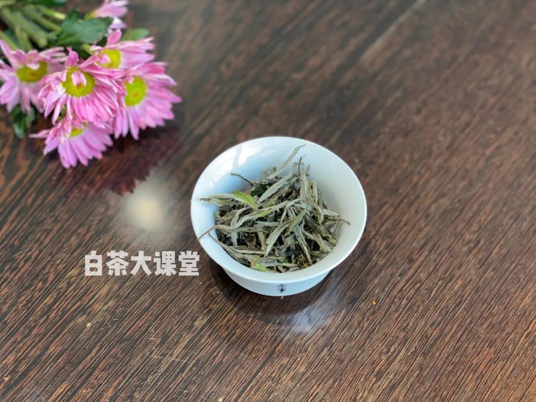 白茶是什么滋味,白茶讲的什么