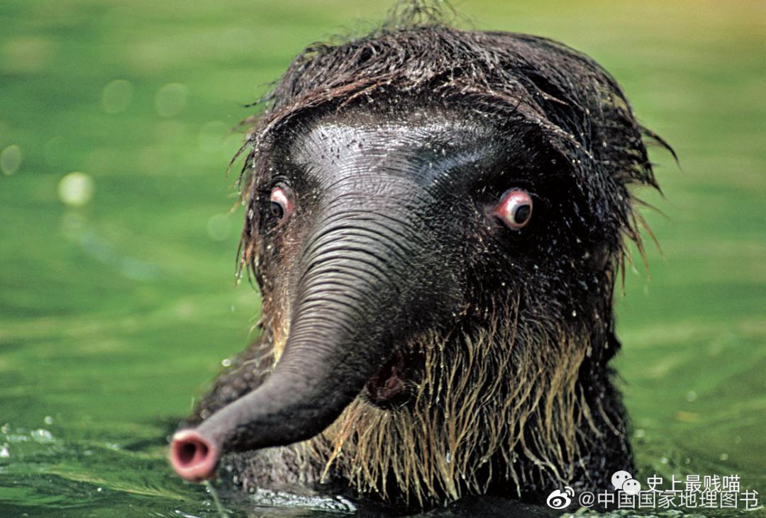 第一次看到把抖m说的这么清新脱俗的...实在太形象了哈哈哈哈哈！