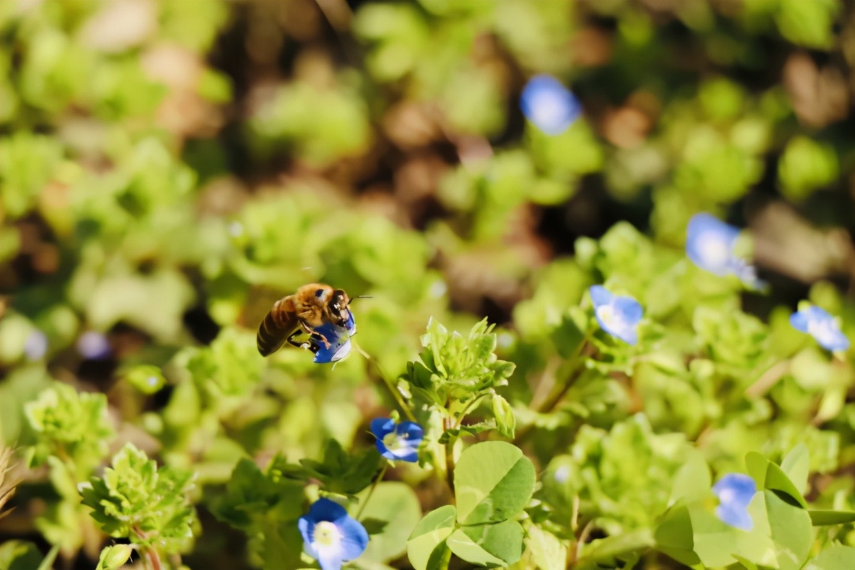 陕西女神学霸火了！大学就当班主任，将赴交大深造，包揽各类大奖